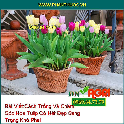 WWW.PhanThuoc.VN