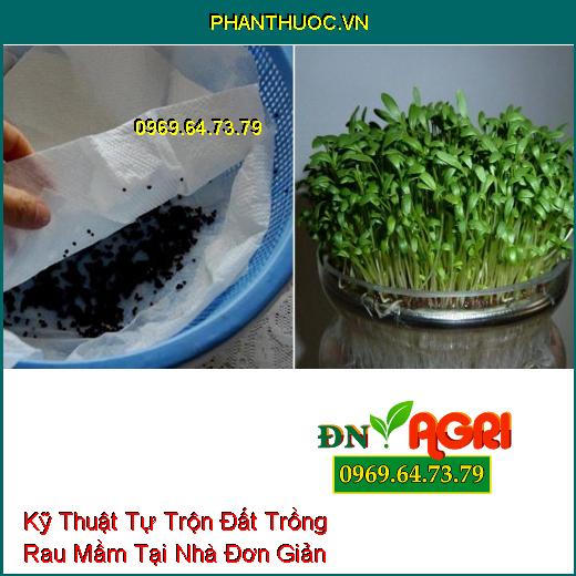 Kỹ Thuật Tự Trộn Đất Trồng Rau Mầm Tại Nhà Đơn Giản