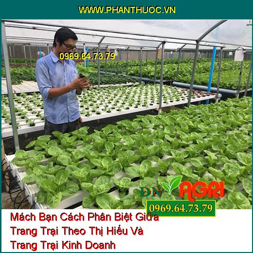 Mách Bạn Cách Phân Biệt Giữa Trang Trại Theo Thị Hiếu Và Trang Trại Kinh Doanh