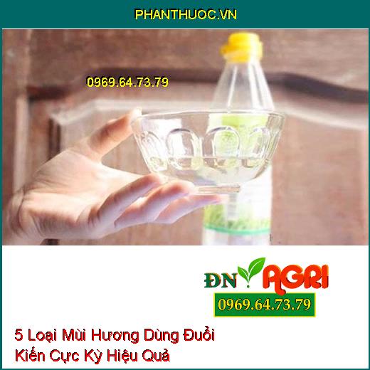 5 Loại Mùi Hương Dùng Đuổi Kiến Cực Kỳ Hiệu Quả