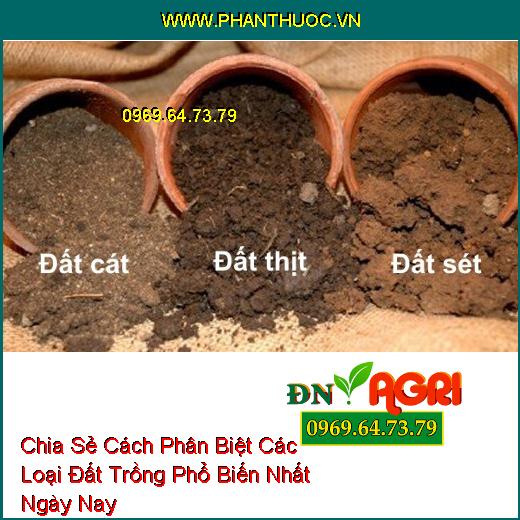 Chia Sẻ Cách Phân Biệt Các Loại Đất Trồng Phổ Biến Nhất Ngày Nay 