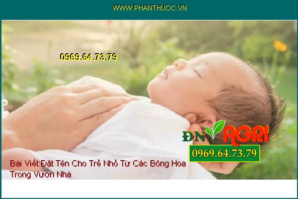 Đặt Tên Cho Trẻ Nhỏ Từ Các Bông Hoa Trong Vườn Nhà