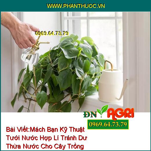 Mách Bạn Kỹ Thuật Tưới Nước Hợp Lí Tránh Dư Thừa Nước Cho Cây Trồng