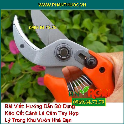 Hướng Dẫn Sử Dụng Kéo Cắt Cành Lá Cầm Tay Hợp Lý Trong Khu Vườn Nhà Bạn