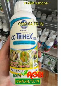 CO-TRIHEX 280SC- Đặc Trị Thán Thư- Đạo Ôn- Héo Xanh- Nấm Bệnh