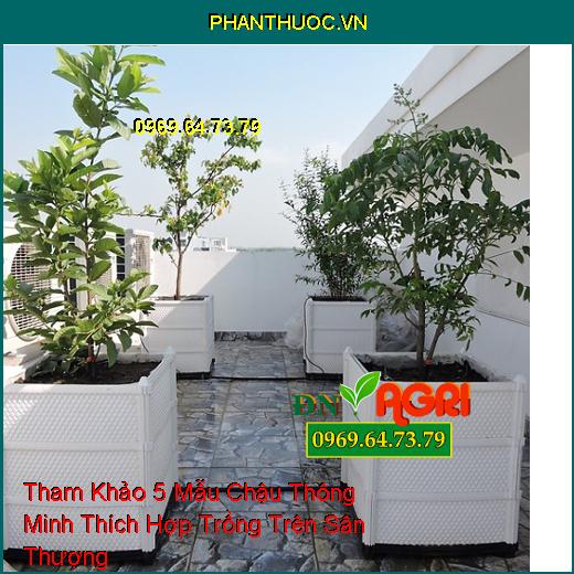 Tham Khảo 5 Mẫu Chậu Thông Minh Thích Hợp Trồng Trên Sân Thượng