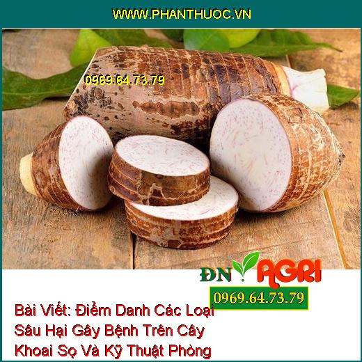 Điểm Danh Các Loại Sâu Hại Gây Bệnh Trên Cây Khoai Sọ Và Kỹ Thuật Phòng Trừ