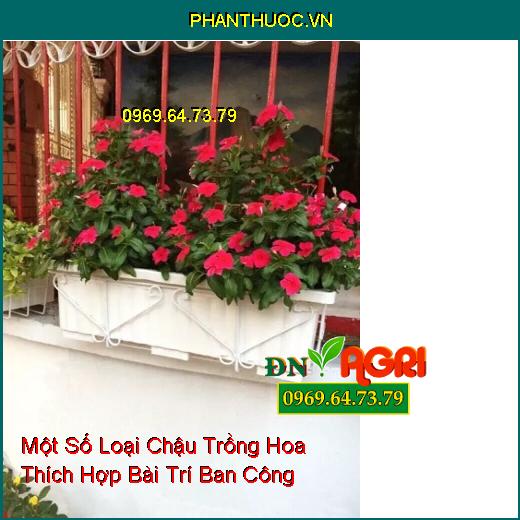 Một Số Loại Chậu Trồng Hoa Thích Hợp Bài Trí Ban Công