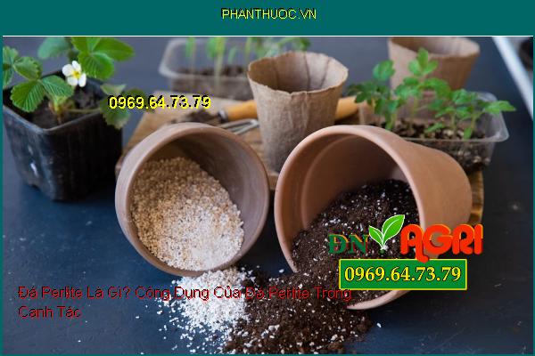 Đá Perlite Là Gì? Công Dụng Của Đá Perlite Trong Canh Tác