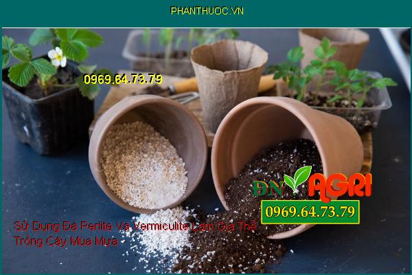Sử Dụng Đá Perlite Và Vermiculite Làm Giá Thể Trồng Cây Mùa Mưa