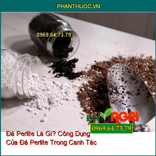 Đá Perlite Là Gì? Công Dụng Của Đá Perlite Trong Canh Tác