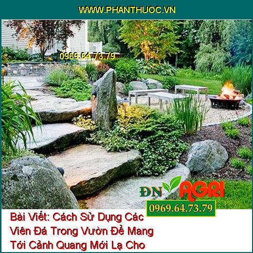 Cách Sử Dụng Các Viên Đá Trong Vườn Để Mang Tới Cảnh Quang Mới Lạ Cho Vườn Nhà