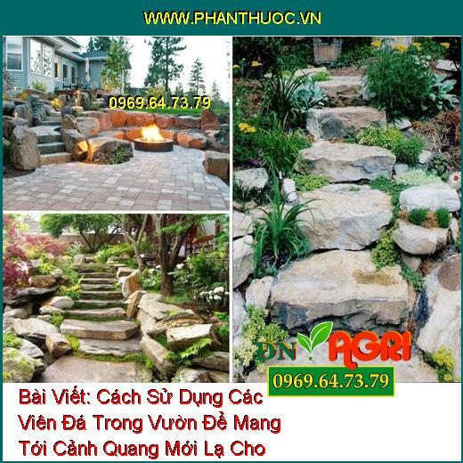 Cách Sử Dụng Các Viên Đá Trong Vườn Để Mang Tới Cảnh Quang Mới Lạ Cho Vườn Nhà