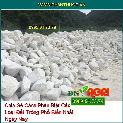 Chia Sẻ Cách Phân Biệt Các Loại Đất Trồng Phổ Biến Nhất Ngày Nay 