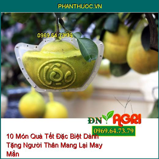 10 Món Quà Tết Đặc Biệt Dành Tặng Người Thân Mang Lại May Mắn