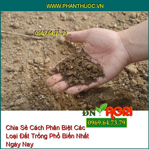 Chia Sẻ Cách Phân Biệt Các Loại Đất Trồng Phổ Biến Nhất Ngày Nay 