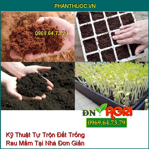 Kỹ Thuật Tự Trộn Đất Trồng Rau Mầm Tại Nhà Đơn Giản