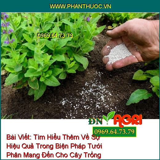 Tìm Hiểu Thêm Về Sự Hiệu Quả Trong Biện Pháp Tưới Phân Mang Đến Cho Cây Trồng