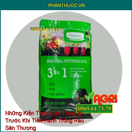 Những Kiến Thức Cần Trang Bị Trước Khi Tiến Hành Trồng Rau Sân Thượng