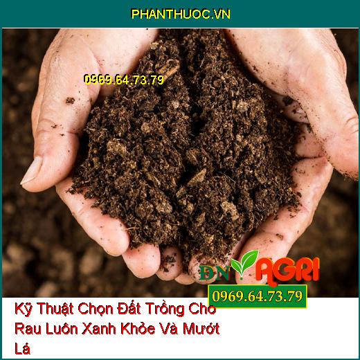 Kỹ Thuật Chọn Đất Trồng Cho Rau Luôn Xanh Khỏe Và Mướt Lá