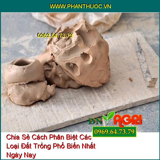 Chia Sẻ Cách Phân Biệt Các Loại Đất Trồng Phổ Biến Nhất Ngày Nay 