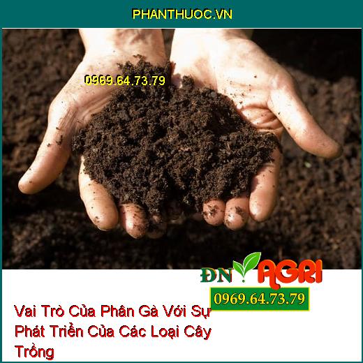 Vai Trò Của Phân Gà Với Sự Phát Triển Của Các Loại Cây Trồng