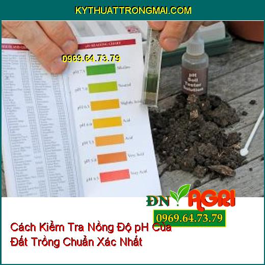 Cách Kiểm Tra Nồng Độ pH Của Đất Trồng Chuẩn Xác Nhất