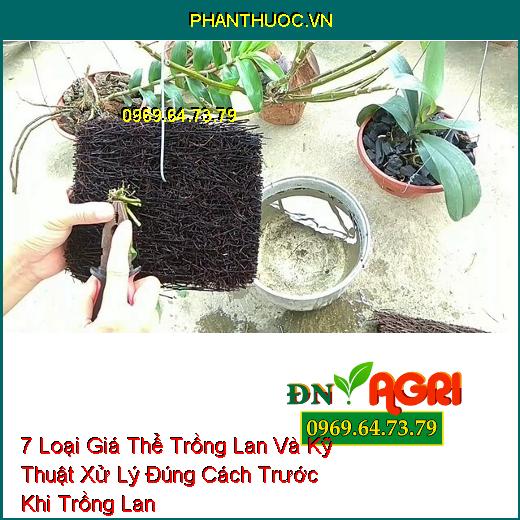 7 Loại Giá Thể Trồng Lan Và Kỹ Thuật Xử Lý Đúng Cách Trước Khi Trồng Lan