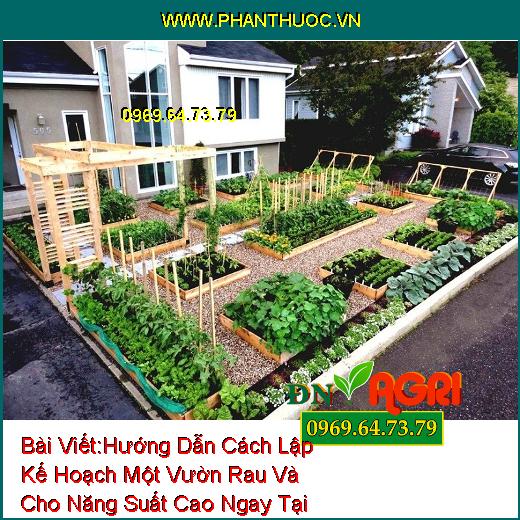 Hướng Dẫn Cách Lập Kế Hoạch Một Vườn Rau Và Cho Năng Suất Cao Ngay Tại Nhà