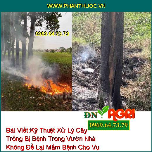 Kỹ Thuật Xử Lý Cây Trồng Bị Bệnh Trong Vườn Nhà Không Để Lại Mầm Bệnh Cho Vụ Mùa Sau