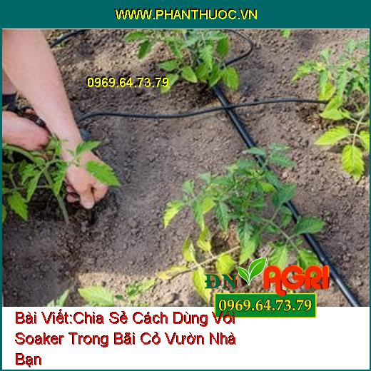 Chia Sẻ Cách Dùng Vòi Soaker Trong Bãi Cỏ Vườn Nhà Bạn