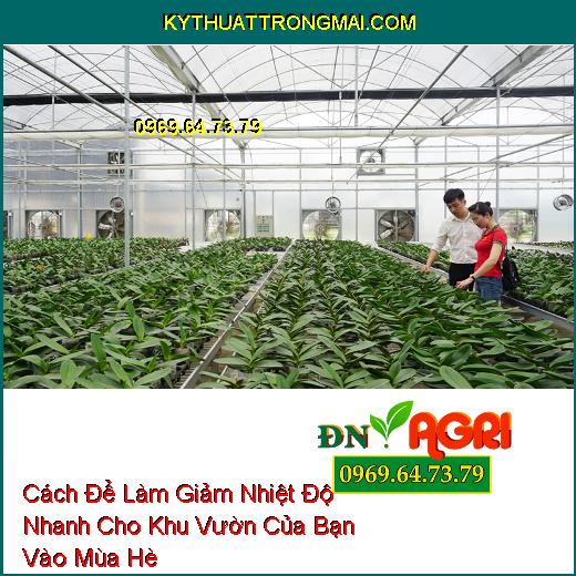 Cách Để Làm Giảm Nhiệt Độ Nhanh Cho Khu Vườn Của Bạn Vào Mùa Hè