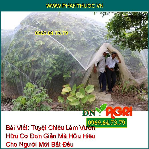 Tuyệt Chiêu Làm Vườn Hữu Cơ Đơn Giản Mà Hữu Hiệu Cho Người Mới Bắt Đầu