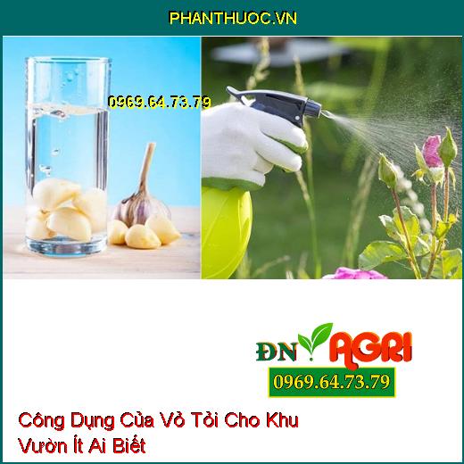 Công Dụng Của Vỏ Tỏi Cho Khu Vườn Ít Ai Biết