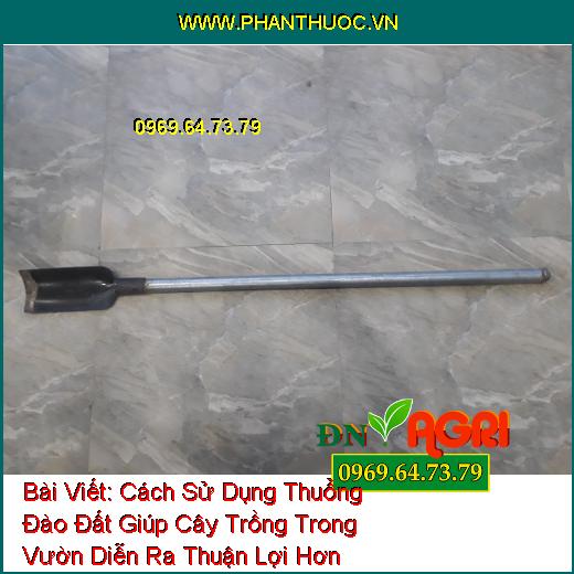 Cách Sử Dụng Thuổng Đào Đất Giúp Cây Trồng Trong Vườn Diễn Ra Thuận Lợi Hơn