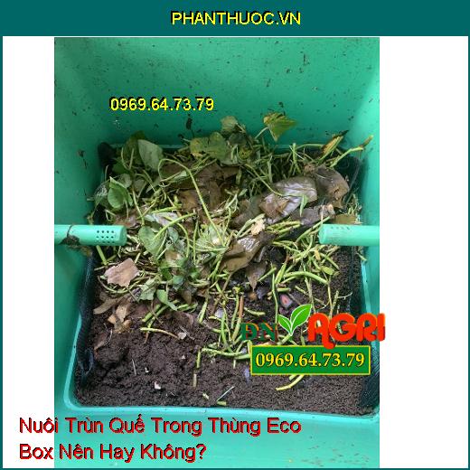 Nuôi Trùn Quế Trong Thùng Eco Box Nên Hay Không?