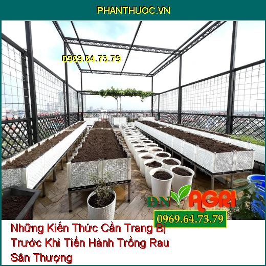 Những Kiến Thức Cần Trang Bị Trước Khi Tiến Hành Trồng Rau Sân Thượng