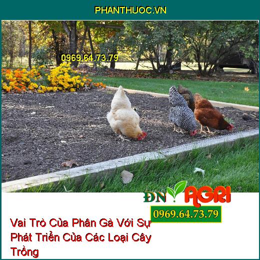 Vai Trò Của Phân Gà Với Sự Phát Triển Của Các Loại Cây Trồng