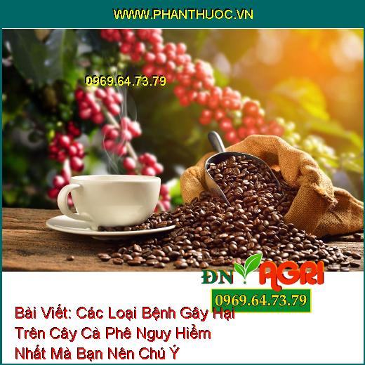 Các Loại Bệnh Gây Hại Trên Cây Cà Phê Nguy Hiểm Nhất Mà Bạn Nên Chú Ý