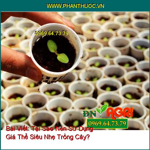 Tại Sao Nên Sử Dụng Giá Thể Siêu Nhẹ Trồng Cây?