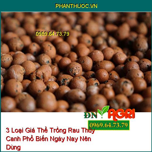 3 Loại Giá Thể Trồng Rau Thủy Canh Phổ Biến Ngày Nay Nên Dùng