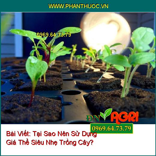 Tại Sao Nên Sử Dụng Giá Thể Siêu Nhẹ Trồng Cây?