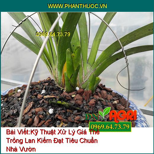 Kỹ Thuật Xử Lý Giá Thể Trồng Lan Kiếm Đạt Tiêu Chuẩn Nhà Vườn