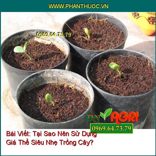 Tại Sao Nên Sử Dụng Giá Thể Siêu Nhẹ Trồng Cây?