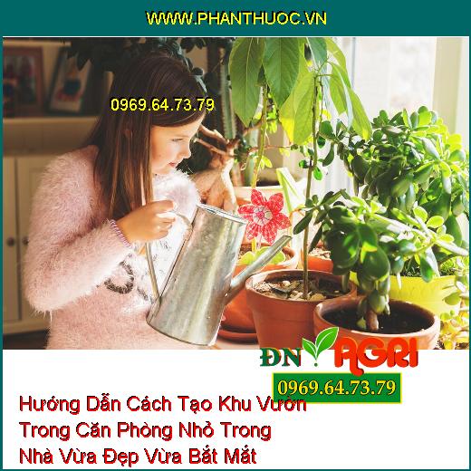 Hướng Dẫn Cách Tạo Khu Vườn Trong Căn Phòng Nhỏ Trong Nhà Vừa Đẹp Vừa Bắt Mắt