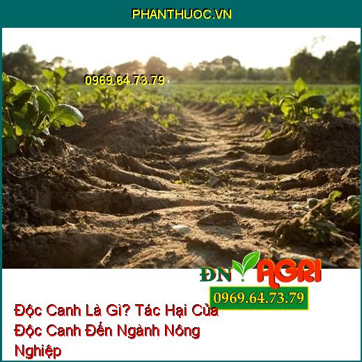 Độc Canh Là Gì? Tác Hại Của Độc Canh Đến Ngành Nông Nghiệp