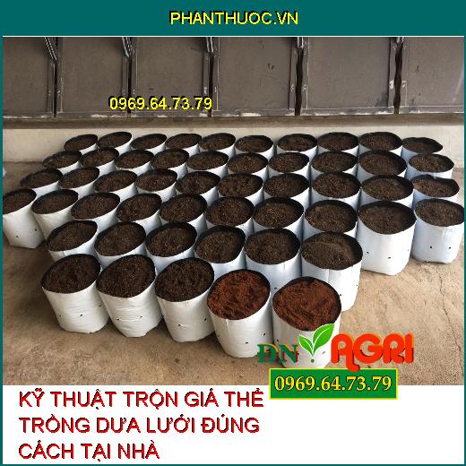 KỸ THUẬT TRỘN GIÁ THỂ TRỒNG DƯA LƯỚI ĐÚNG CÁCH TẠI NHÀ