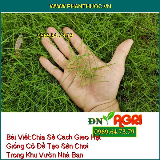 Chia Sẻ Cách Gieo Hạt Giống Cỏ Để Tạo Sân Chơi Trong Khu Vườn Nhà Bạn