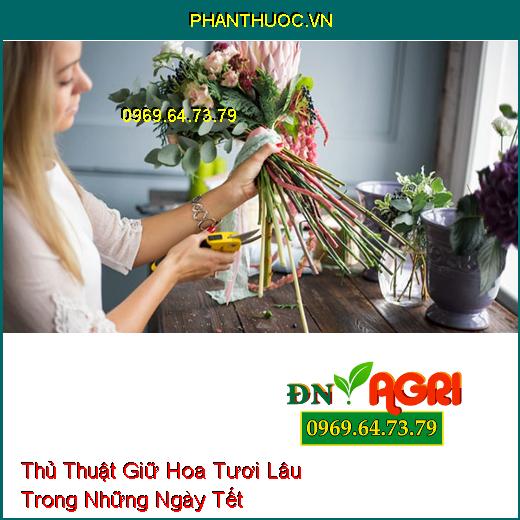 Thủ Thuật Giữ Hoa Tươi Lâu Trong Những Ngày Tết