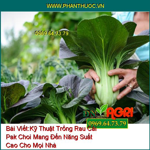 Kỹ Thuật Trồng Rau Cải Pak Choi Mang Đến Năng Suất Cao Cho Mọi Nhà